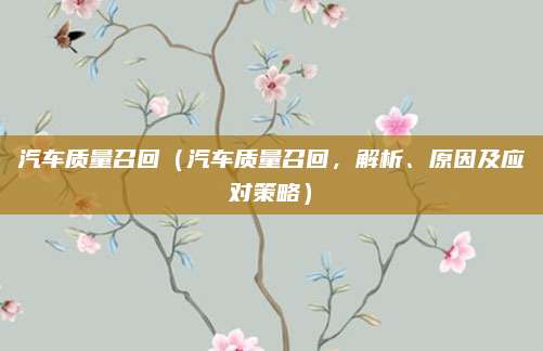 汽车质量召回(汽车质量召回,解析、原因及应对策略)