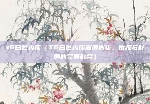 x6白色内饰（X6白色内饰深度解析，优雅与舒适的完美融合）