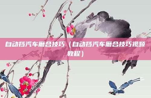 自动挡汽车磨合技巧(自动挡汽车磨合技巧视频教程)