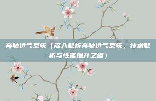 奔驰进气系统(深入解析奔驰进气系统,技术解析与性能提升之道)