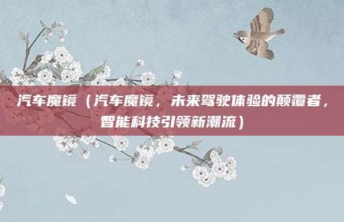 汽车魔镜(汽车魔镜,未来驾驶体验的颠覆者,智能科技引领新潮流)
