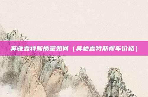 奔驰麦特斯质量如何(奔驰麦特斯裸车价格)