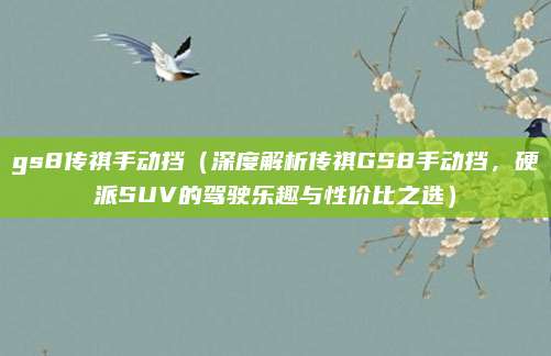 gs8传祺手动挡(深度解析传祺GS8手动挡,硬派SUV的驾驶乐趣与性价比之选)