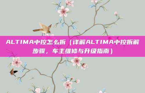 ALTIMA中控怎么拆(详解ALTIMA中控拆解步骤,车主维修与升级指南)