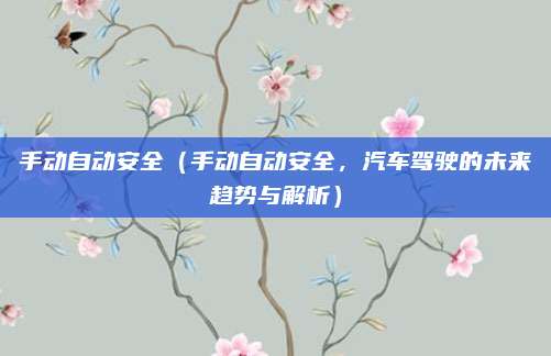 手动自动安全(手动自动安全,汽车驾驶的未来趋势与解析)