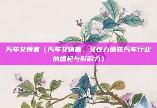 汽车女销售（汽车女销售，女性力量在汽车行业的崛起与影响力）