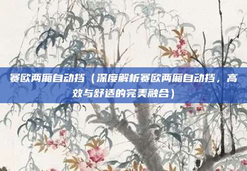 赛欧两厢自动挡（深度解析赛欧两厢自动挡，高效与舒适的完美融合）