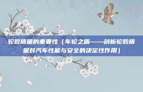 轮毂质量的重要性（车轮之盾——剖析轮毂质量对汽车性能与安全的决定性作用）
