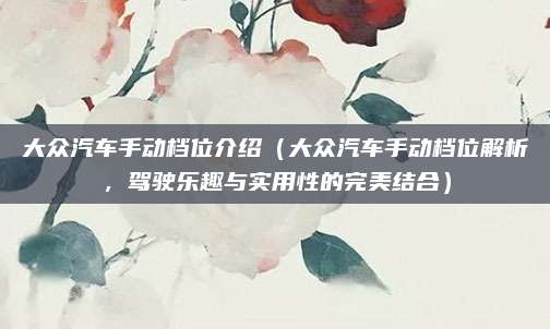 大众汽车手动档位介绍（大众汽车手动档位解析，驾驶乐趣与实用性的完美结合）