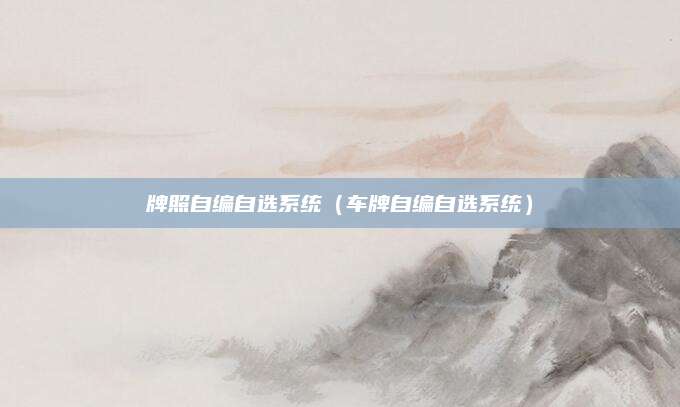 牌照自编自选系统(车牌自编自选系统)