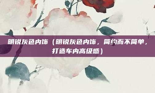 明锐灰色内饰（明锐灰色内饰，简约而不简单，打造车内高级感）