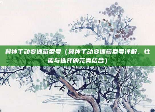 翼神手动变速箱型号（翼神手动变速箱型号详解，性能与选择的完美结合）