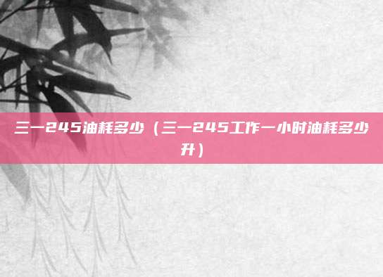 三一245油耗多少(三一245工作一小时油耗多少升)