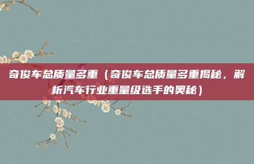 奇俊车总质量多重（奇俊车总质量多重揭秘，解析汽车行业重量级选手的奥秘）