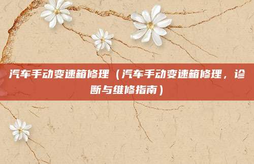 汽车手动变速箱修理(汽车手动变速箱修理,诊断与维修指南)