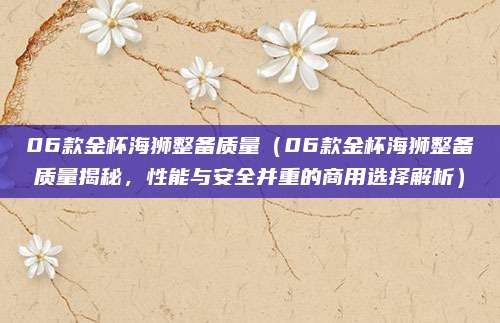 06款金杯海狮整备质量（06款金杯海狮整备质量揭秘，性能与安全并重的商用选择解析）