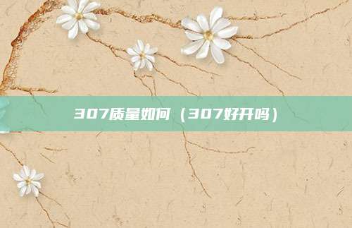 307质量如何(307好开吗)