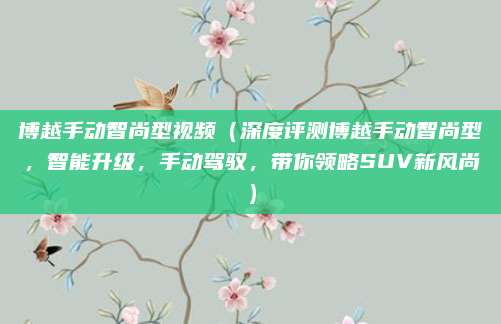 博越手动智尚型视频(深度评测博越手动智尚型,智能升级,手动驾驭,带你领略SUV新风尚)