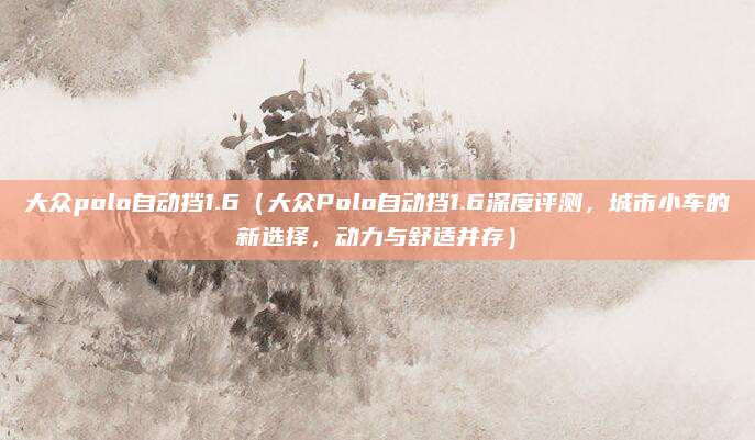 大众polo自动挡1.6（大众Polo自动挡1.6深度评测，城市小车的新选择，动力与舒适并存）