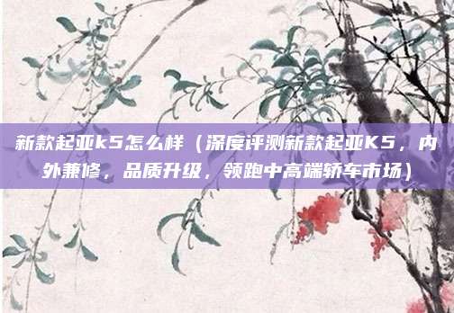新款起亚k5怎么样(深度评测新款起亚K5,内外兼修,品质升级,领跑中高端轿车市场)