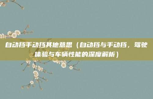 自动挡手动挡其他意思(自动挡与手动挡,驾驶体验与车辆性能的深度解析)