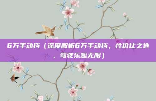 6万手动挡（深度解析6万手动挡，性价比之选，驾驶乐趣无限）