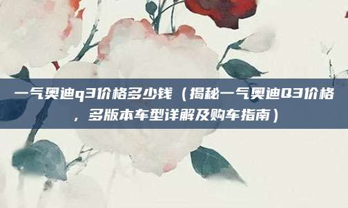 一气奥迪q3价格多少钱（揭秘一气奥迪Q3价格，多版本车型详解及购车指南）