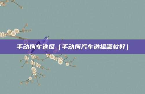 手动挡车选择(手动挡汽车选择哪款好)