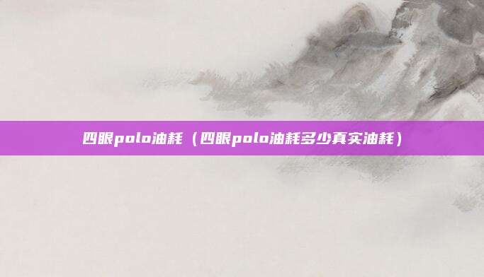 四眼polo油耗(四眼polo油耗多少真实油耗)