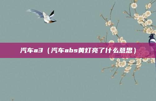 汽车a3(汽车abs黄灯亮了什么意思)
