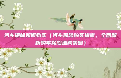 汽车保险如何购买（汽车保险购买指南，全面解析购车保险选购策略）