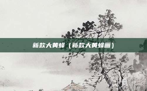 新款大黄蜂(新款大黄蜂画)