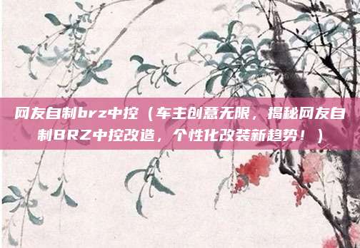 网友自制brz中控（车主创意无限，揭秘网友自制BRZ中控改造，个性化改装新趋势！）