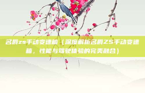 名爵zs手动变速箱（深度解析名爵ZS手动变速箱，性能与驾驶体验的完美融合）
