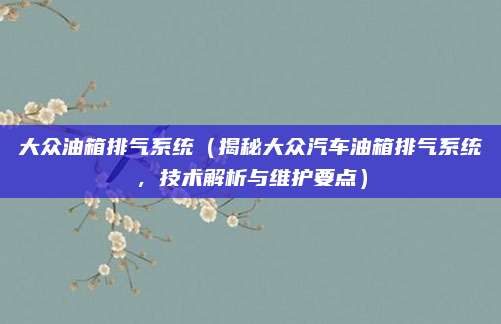 大众油箱排气系统（揭秘大众汽车油箱排气系统，技术解析与维护要点）