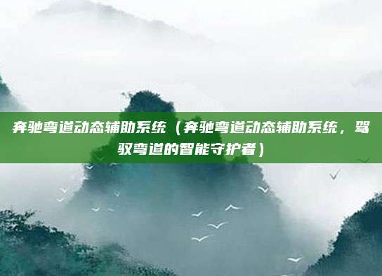 奔驰弯道动态辅助系统（奔驰弯道动态辅助系统，驾驭弯道的智能守护者）