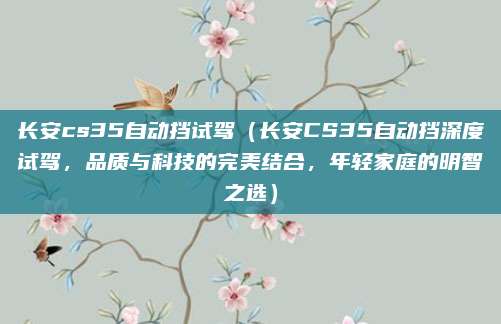长安cs35自动挡试驾（长安CS35自动挡深度试驾，品质与科技的完美结合，年轻家庭的明智之选）