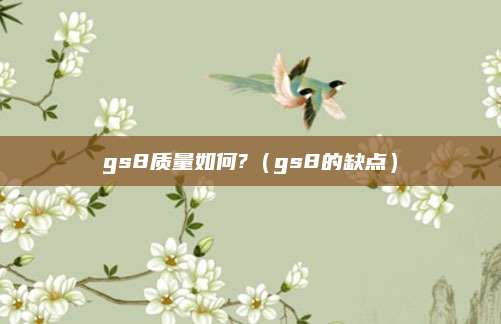 gs8质量如何?(gs8的缺点)
