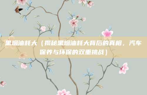 黑烟油耗大（揭秘黑烟油耗大背后的真相，汽车保养与环保的双重挑战）