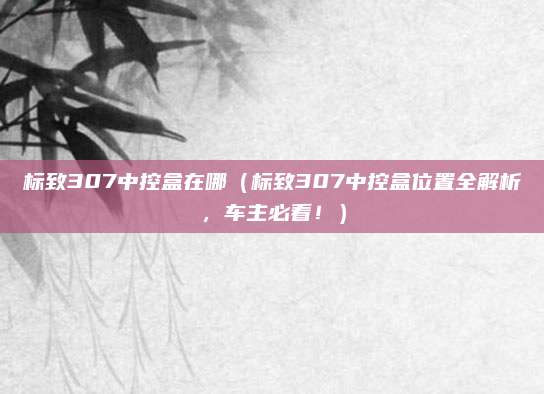 标致307中控盒在哪(标致307中控盒位置全解析,车主必看!)