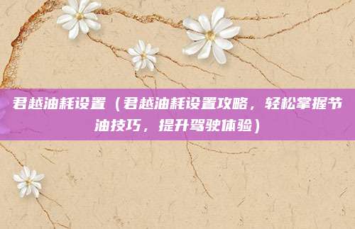 君越油耗设置(君越油耗设置攻略,轻松掌握节油技巧,提升驾驶体验)