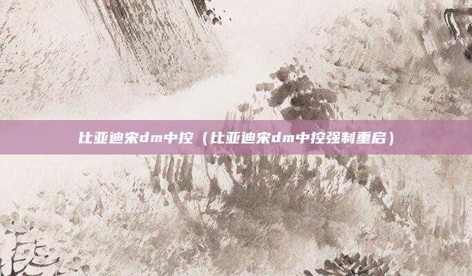 比亚迪宋dm中控(比亚迪宋dm中控强制重启)