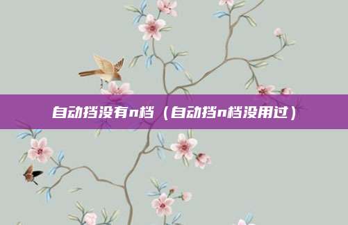 自动挡没有n档(自动挡n档没用过)