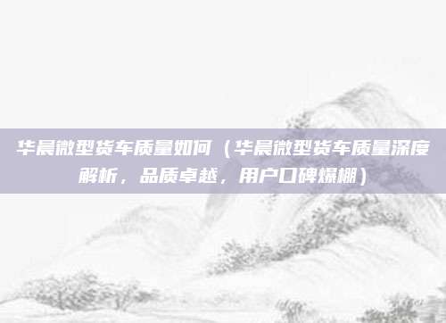 华晨微型货车质量如何(华晨微型货车质量深度解析,品质卓越,用户口碑爆棚)