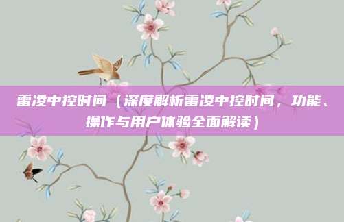 雷凌中控时间(深度解析雷凌中控时间,功能、操作与用户体验全面解读)