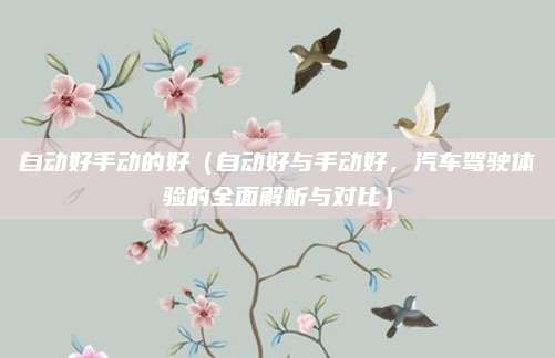 自动好手动的好(自动好与手动好,汽车驾驶体验的全面解析与对比)
