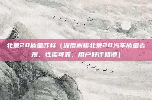北京20质量咋样(深度解析北京20汽车质量表现,性能可靠,用户好评如潮)