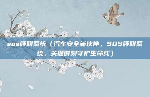 sos呼叫系统(汽车安全新伙伴,SOS呼叫系统,关键时刻守护生命线)