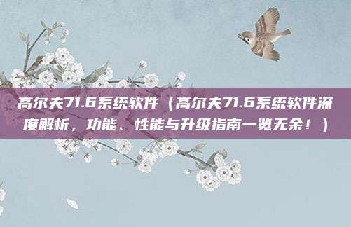 高尔夫71.6系统软件(高尔夫71.6系统软件深度解析,功能、性能与升级指南一览无余!)