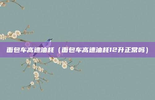 面包车高速油耗（面包车高速油耗12升正常吗）